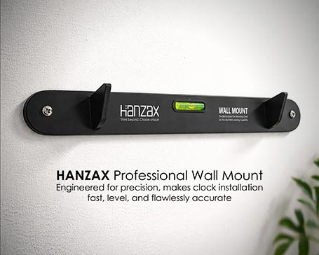 Hanzax Professional WallMount